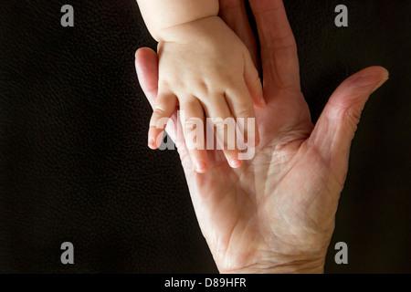 Hands of grandmother and grandchild Stock Photo