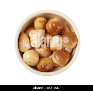 small smoked mozzarella with chili on white background Stock Photo