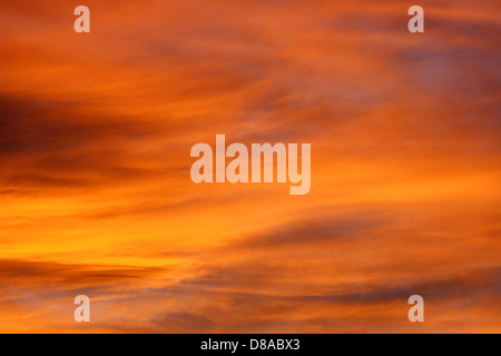 A stunning view of brilliant orange clouds during sunset. The clouds are lit by the fading sunlight, creating a vivid, warm palette in the sky, often seen during the golden hour in the evening. Stock Photo