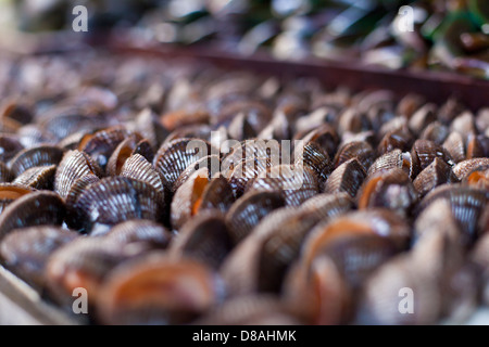 Oysters and scallops on asian market Stock Photo