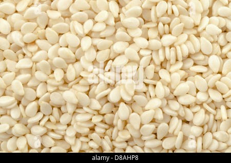 Close up of white sesame seeds Stock Photo