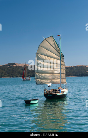 Fantail, Annie Hill's junk rigged Raven 26, sailing in company with Andrew White's gaff rigged Balaena, off Waiheke. New Zealand Stock Photo