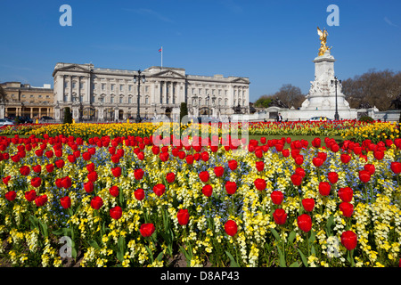 Buckingham Palace and Queen Victoria Monument with Tulips Stock Photo