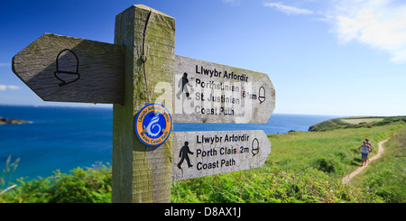 Coast path Caerfai Bay St Davids Pembrokeshire Wales Stock Photo