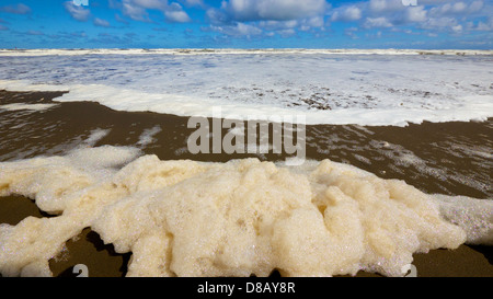 Sunny Day Blue Sky looking at the Sea of Okhotsk from Abashiri Stock Photo