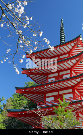 Chureito Pagoda and cherry blossoms at Arakura-yama Sengen-koen park Japan Stock Photo