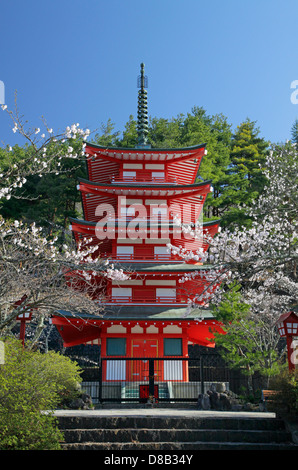 Chureito Pagoda and cherry blossoms at Arakura-yama Sengen-koen park Japan Stock Photo