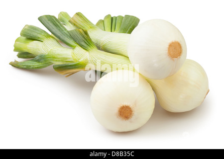 onions group on white background Stock Photo