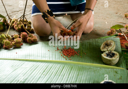 Young native of the ethnic group Tsachila mixes natural ingredients to paint the body of his fellow community Stock Photo