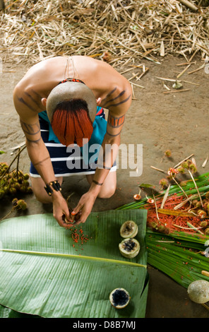 Young native of the ethnic group Tsachila mixes natural ingredients to paint the body of his fellow community Stock Photo