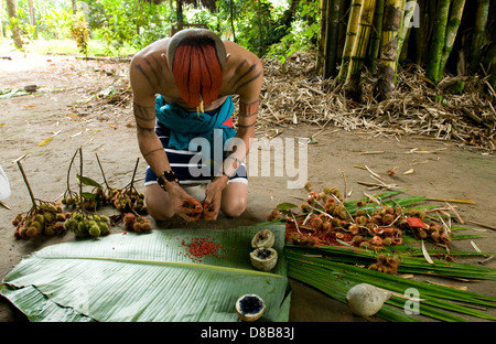 Young native of the ethnic group Tsachila mixes natural ingredients to paint the body of his fellow community Stock Photo