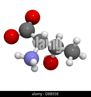 Threonine (Thr, T) amino acid, molecular model. Amino acids are the building blocks of all proteins. Stock Photo