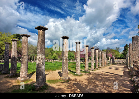 The Palaestra at Ancient Olympia, the birthplace of the Olympic Games, Ilia, Peloponnese, Greece. Stock Photo