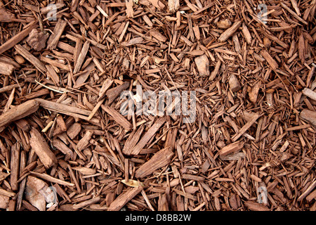 brown wood chip mulch texture. Stock Photo
