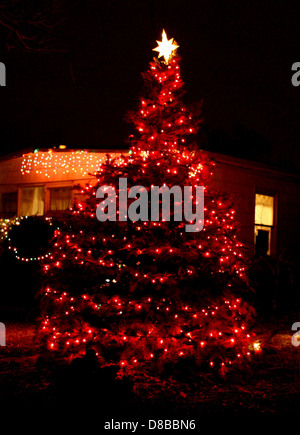 This image features a Christmas tree decorated with red lights, a popular holiday decoration. The red lights create a festive atmosphere, often paired with other ornaments, tinsel, and tree toppers, bringing a warm and celebratory mood to holiday gatherings. Stock Photo