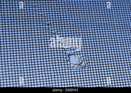 A close-up shot of a hole in a screen, showing the torn mesh material. The image focuses on the damage to the screen surface, providing a clear view of the puncture. Stock Photo
