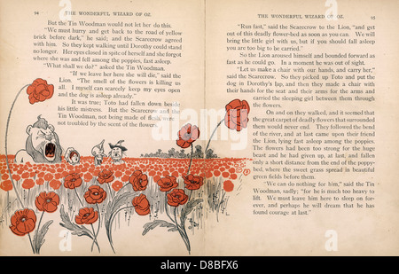 wizard of oz poppies illustration