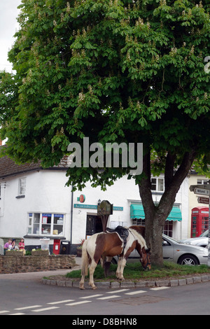 Kentisbeare village centre, Devon with ponies, village stores and post office and red telephone kiosk Stock Photo