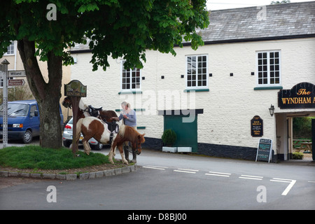 Kentisbeare village centre, Devon with ponies and the village pub - The Wyndham Arms Stock Photo