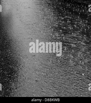 Raindrops falling onto a water surface, creating ripples and bubbles. The image captures the natural interaction between water and rain, showcasing the dynamic patterns formed as the rain hits the surface. Stock Photo