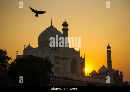 Taj Mahal sunset view from the banks of the Yamuna river Stock Photo