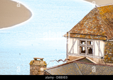 Old vintage house with tiled roof and two gulls on it standing on small river bank in France. Curved narrow river with flaring Stock Photo