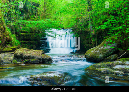 Waterfall on Hoaroak Water at Watersmeet in Exmoor National Park near Rockford, Devon, England. Stock Photo