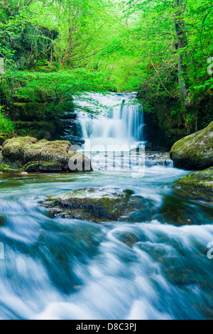 Waterfall on Hoaroak Water at Watersmeet in Exmoor National Park near Rockford, Devon, England. Stock Photo