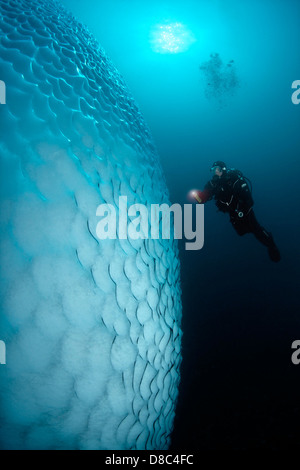 Iceberg under water with diver in front of it, near Kulusuk, Greenland, underwater shot Stock Photo