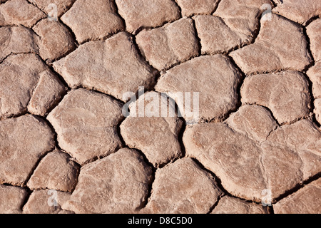 Dry earth in the Sahara desert, Morocco. Stock Photo