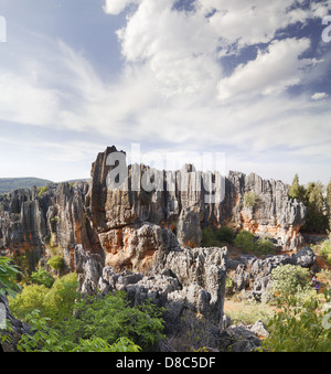 Stone Forest in Shilin, Yunnan Province, China Stock Photo
