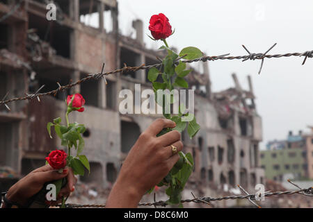 Savar, Dhaka, Bangladesh. 24th May 2013.  A Bangladeshi family member of a missing garment worker places roses on the barbed wire fence as they pays tribute to the victims at the site of the April 2013 nine-storey building collapse in Savar, on the outskirts of Dhaka on May 24, 2013. Some 290 unidentified bodies were buried after DNA samples were collected to match those of relatives as the Bangladeshi army wrapped up its search May 14, 2013 for bodies at the site of the building collapse. Industrial disasters since November have killed at least 1,250 workers. Â©Monirul Alam (Credit Image: © M Stock Photo