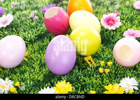 Some colorful Easter eggs on a blooming meadow Stock Photo