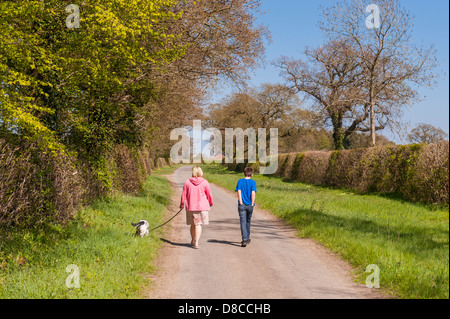 A woman and her son walking the dog down a country lane in Sotterley , Suffolk , England , Britain , Uk Stock Photo