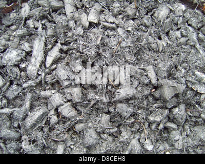 This image features the texture of ashes, showcasing the fine, powdery consistency of burnt material. The light gray tones and irregular surface reflect the remains of a fire or burned substance. Stock Photo