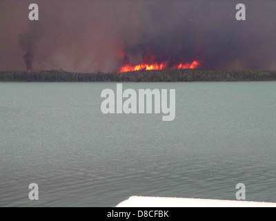 This image shows thick, dark smoke rising from a forest fire. The smoke billows upward in large plumes, likely indicating a large-scale fire. The surrounding trees and landscape may be affected by the fire's intensity. Stock Photo
