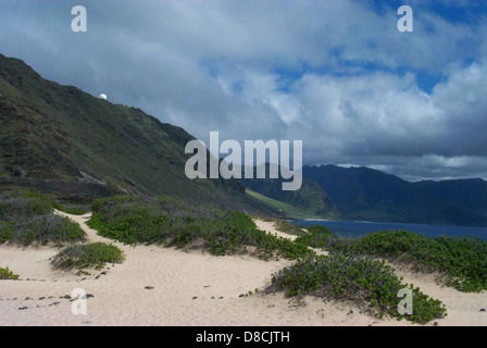 A scenic view of the Elk River Spit in Oregon, featuring the river meeting the ocean, surrounded by lush coastal vegetation and sandy shores. Stock Photo