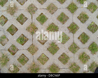 Eco-Friendly Permeable Paving and Green Grass in Urban Design Stock ...