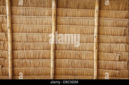 Thatch Background Stock Photo