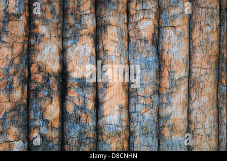Timber wall background Stock Photo