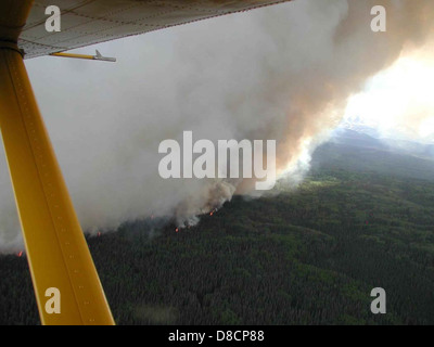 Huge smoke rising from forest fire. Stock Photo