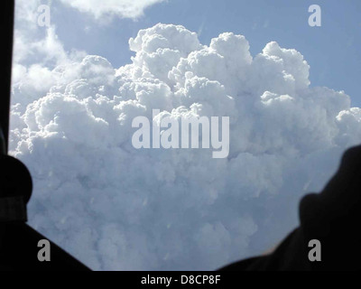 Huge white and gray smoke rising from forest fire . Stock Photo