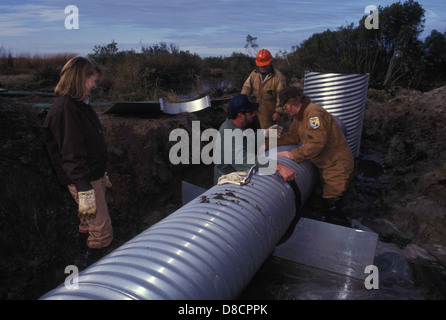 Workers are installing a water control pipe as part of a construction project. The pipe is designed to manage water flow and drainage in the area. Stock Photo