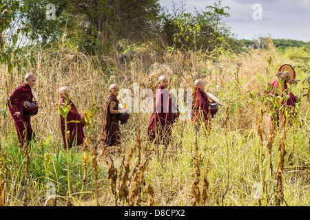 May 25, 2013 - Mae Sot, Tak, Thailand - A Burmese monk leads novices through the forest during their morning alms rounds through an unofficial village of Burmese refugees north of Mae Sot, Thailand. Their community is about 50 metres from the Burmese border with Thailand. About 200 people live in thatched huts spread throughout the community. They're close enough to Mae Sot that some can work in town and Burmese merchants from Mae Sot come out to their village to do business with them. The Burmese in the village don't residency papers for Thailand and are technically considered illegal immigra Stock Photo