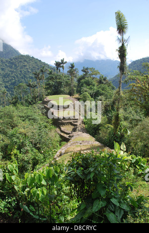 A view of one of the main terraces of the Lost City Stock Photo