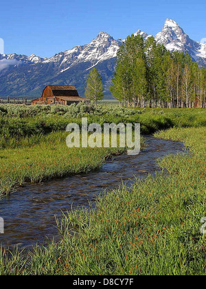 Against the backdrop of the rugged Grand Teton Mountain range, Mrs ...