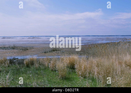 Mist drifts gently over tranquil lake surface. Village sits nestled on ...