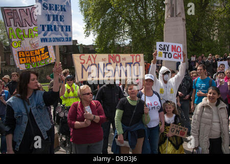 2013-05-25 Westminster, London. Anti-Monsanto campaigners demonstrate outside Parliament demanding an end to genetically modified crops. Stock Photo