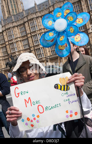 2013-05-25 Westminster, London. A protester with her anti-GMO placard demonstrates outside Parliament Stock Photo