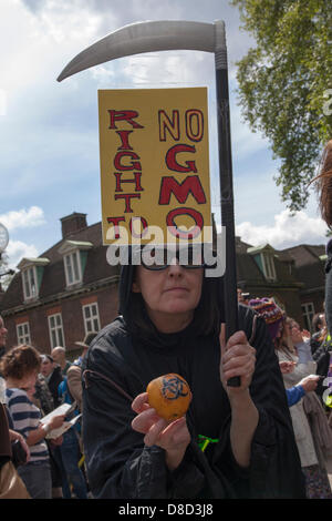 2013-05-25 Westminster, London.A woman dressed as the Grim Reaper poses for pictures as hundreds demonstrate against crop seed giant Monsanto. Stock Photo